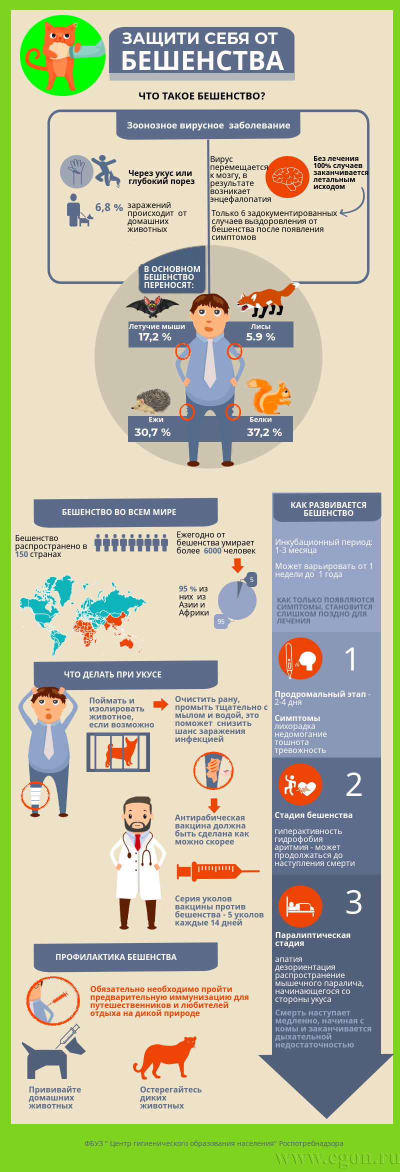 Информация о бешенстве