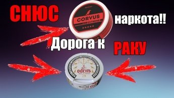 Снюсы