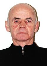 Мануилов Владимир Иванович