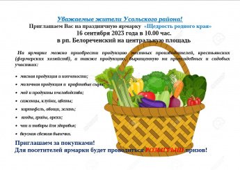 Праздничная ярмарка «Щедрость родного края» 